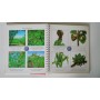 ATLAS OF PLANTS